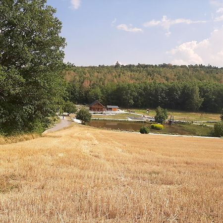 Residenz Moselstausee Sankt Aldegund Kültér fotó