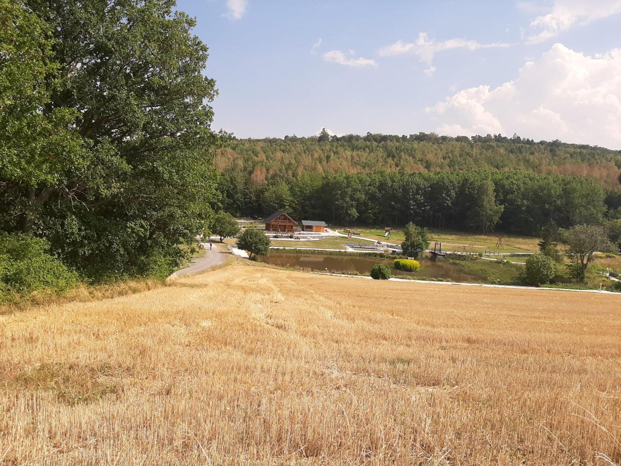 Residenz Moselstausee Sankt Aldegund Kültér fotó