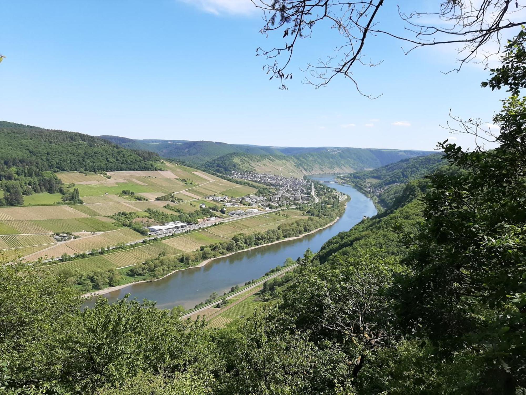 Residenz Moselstausee Sankt Aldegund Kültér fotó