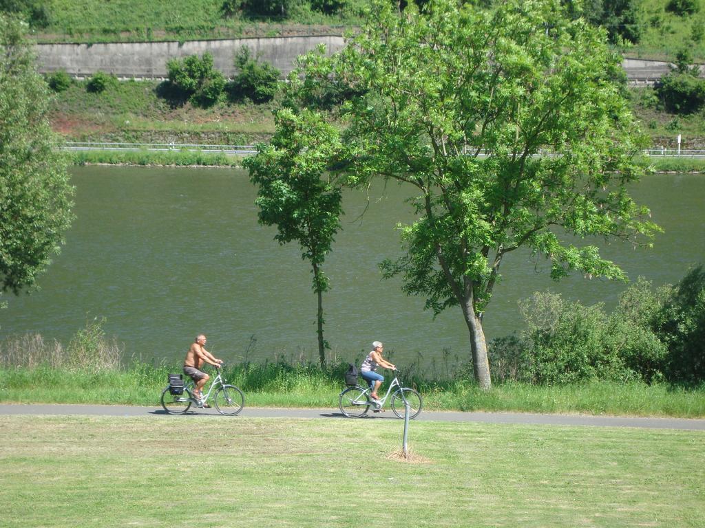 Residenz Moselstausee Sankt Aldegund Kültér fotó